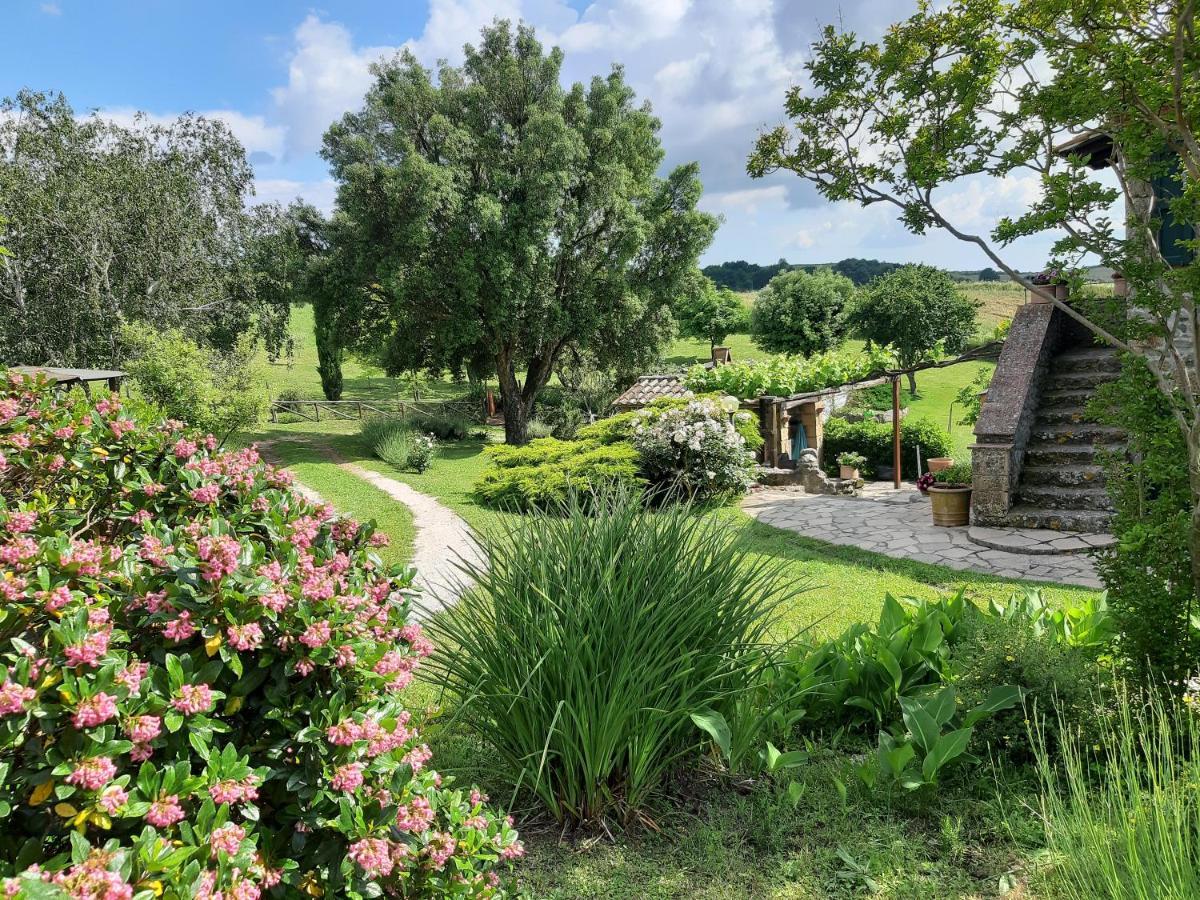 Agriturismo Cantinaccia Di Sopra Pitigliano Eksteriør bilde