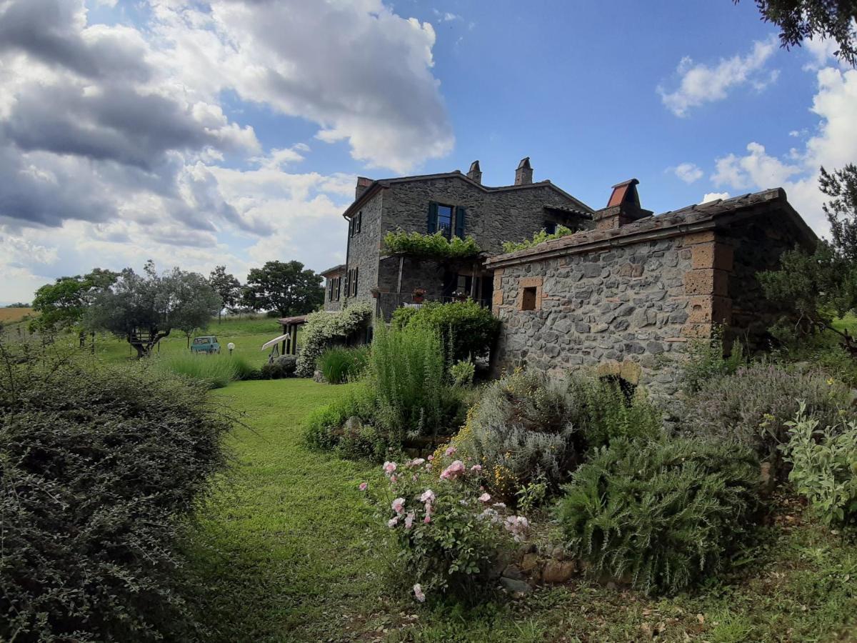 Agriturismo Cantinaccia Di Sopra Pitigliano Eksteriør bilde