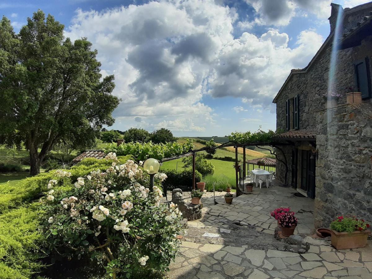 Agriturismo Cantinaccia Di Sopra Pitigliano Eksteriør bilde