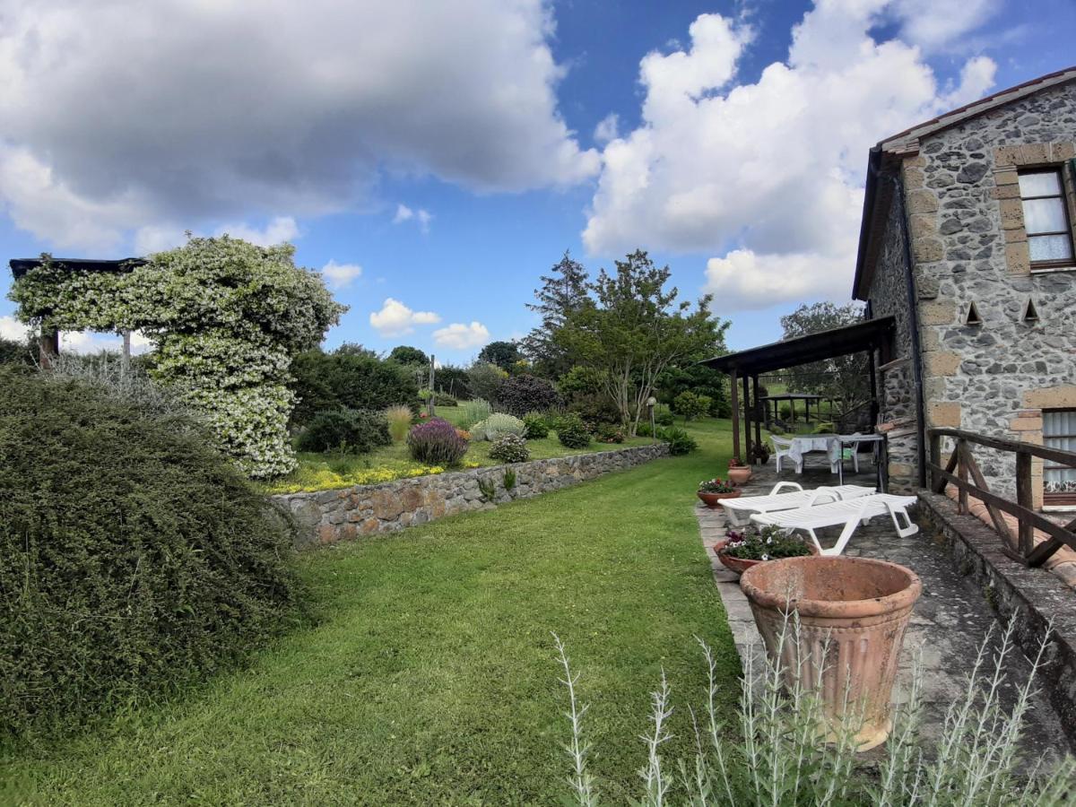 Agriturismo Cantinaccia Di Sopra Pitigliano Eksteriør bilde