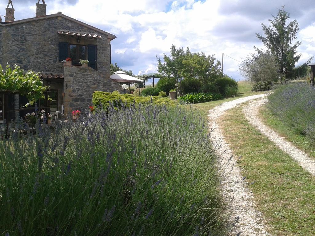 Agriturismo Cantinaccia Di Sopra Pitigliano Eksteriør bilde