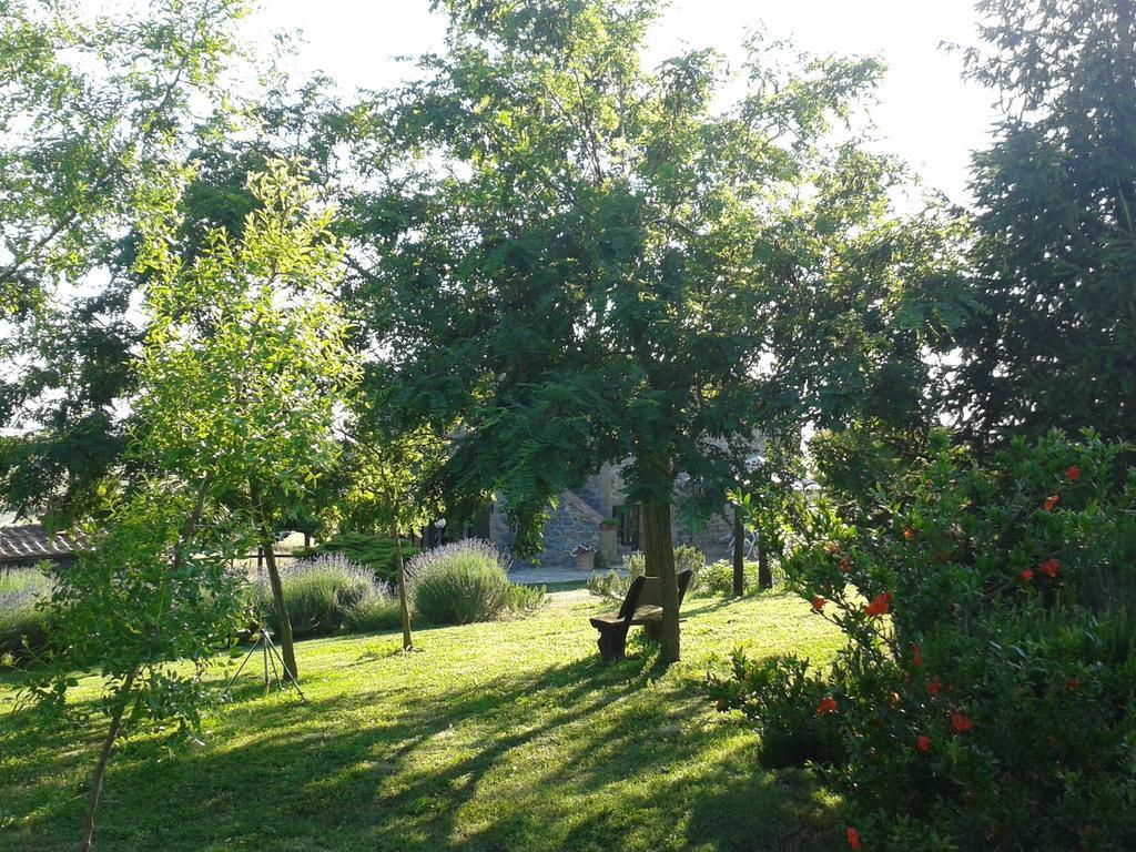 Agriturismo Cantinaccia Di Sopra Pitigliano Eksteriør bilde