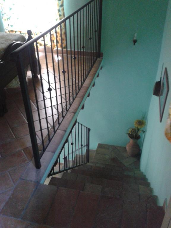Agriturismo Cantinaccia Di Sopra Pitigliano Eksteriør bilde